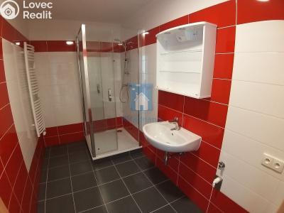 Аренда квартиры 2+KK Plzeň, Nemocniční č. 10
