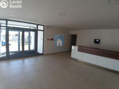 Аренда квартиры 2+KK Plzeň, Nemocniční č. 25