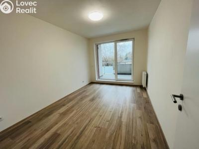 Rent apartment 2+KK Hradec Králové, Průběžná č. 2