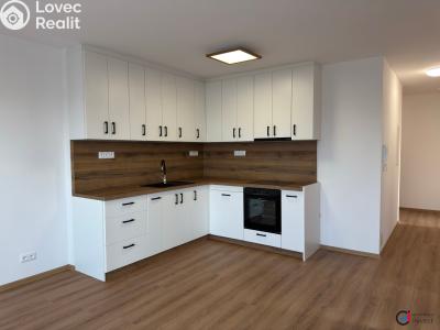 Rent apartment 3+KK Dašice, U Kasáren č. 4