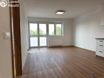 Rent apartment 3+KK Dašice, U Kasáren č. 5