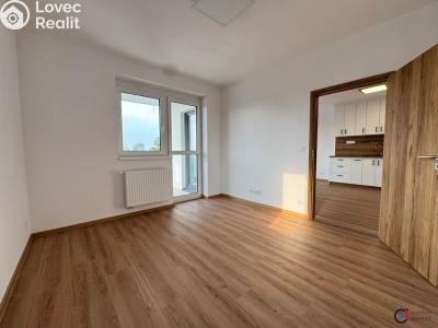 Rent apartment 3+KK Dašice, U Kasáren č. 8