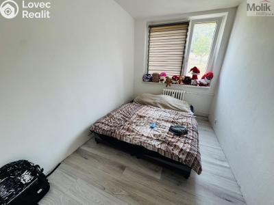 Prodej bytu 3+1 Most, Česká č. 8