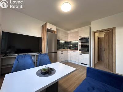 Rent apartment 2+KK Hradec Králové, Březhradská č. 1