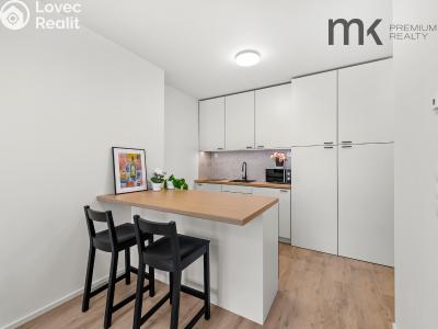 Аренда квартиры 1+KK Praha, Na bitevní pláni č. 1