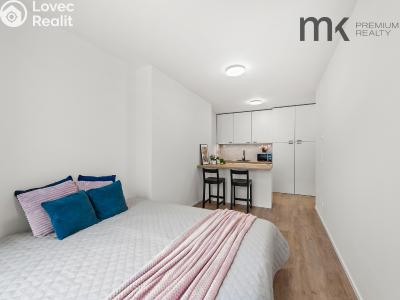 Аренда квартиры 1+KK Praha, Na bitevní pláni č. 8