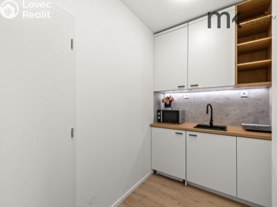 Аренда квартиры 1+1 Praha, Na bitevní pláni č. 7