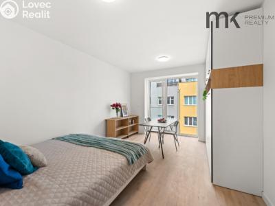 Аренда квартиры 1+1 Praha, Na bitevní pláni č. 13