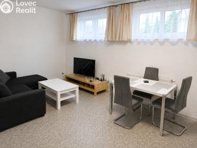 Rent apartment 1+1 Zvěrotice č. 4