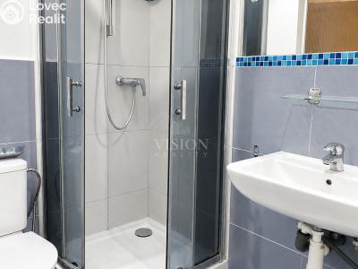 Rent apartment 1+1 Zvěrotice č. 6