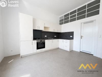 Rent apartment 3+1 Hradec Králové, Dukelská třída č. 1