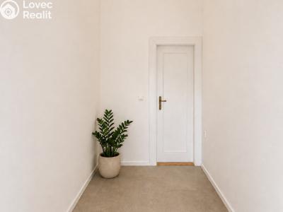 Rent apartment 3+1 Hradec Králové, Dukelská třída č. 18