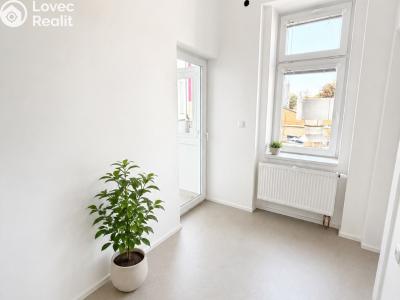 Rent apartment 3+1 Hradec Králové, Dukelská třída č. 19