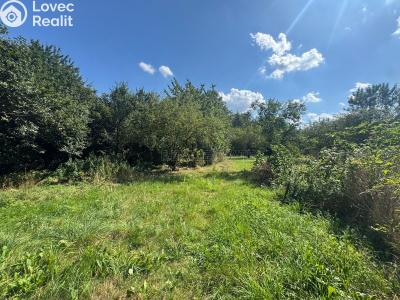 Продажа семейного дома Vidnava, Svobodova č. 7