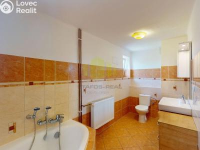Rent apartment 3+KK Litovel č. 15