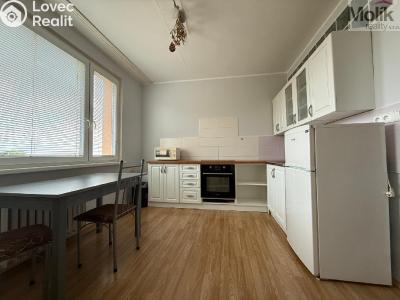Аренда квартиры 1+1 Litvínov, U Zámeckého parku 2008 č. 2