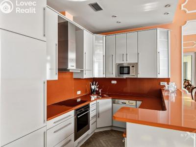 Продаж квартири 5+1 Praha, Mezibranská č. 14