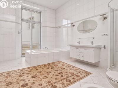 Продаж квартири 5+1 Praha, Mezibranská č. 16