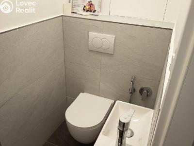 Аренда квартиры 2+KK Praha č. 9