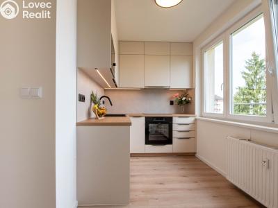 Prodej bytu 3+1 České Budějovice, Větrná č. 1