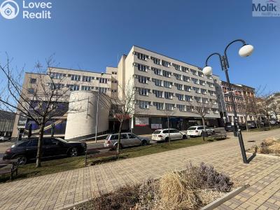 Rent apartment 1+KK Teplice, U divadla 2992 č. 1