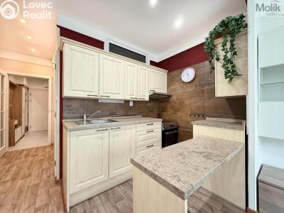 Rent apartment 1+KK Teplice, U divadla 2992 č. 2