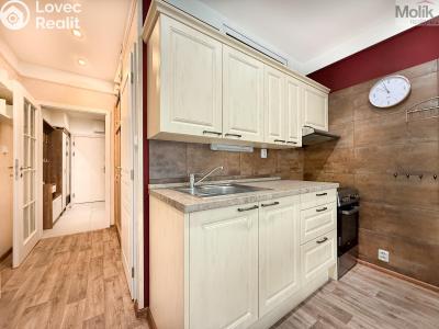 Rent apartment 1+KK Teplice, U divadla 2992 č. 4