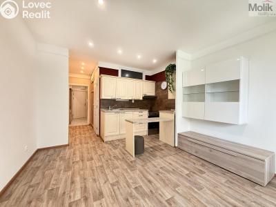 Rent apartment 1+KK Teplice, U divadla 2992 č. 5