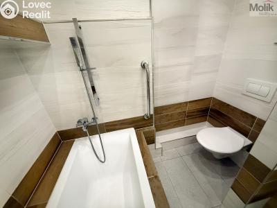 Rent apartment 1+KK Teplice, U divadla 2992 č. 6