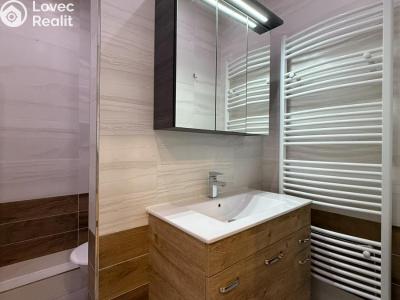 Rent apartment 1+KK Teplice, U divadla 2992 č. 7