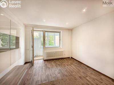 Rent apartment 1+KK Teplice, U divadla 2992 č. 8