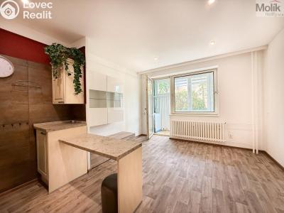 Rent apartment 1+KK Teplice, U divadla 2992 č. 9