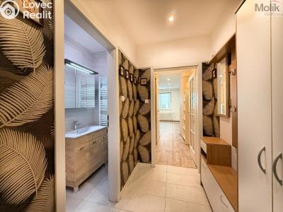 Rent apartment 1+KK Teplice, U divadla 2992 č. 10