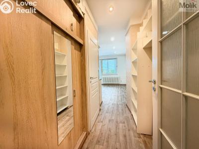 Rent apartment 1+KK Teplice, U divadla 2992 č. 13