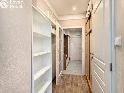 Rent apartment 1+KK Teplice, U divadla 2992 č. 15