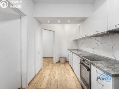 Sale apartment 2+KK Praha, Na Veselí č. 9