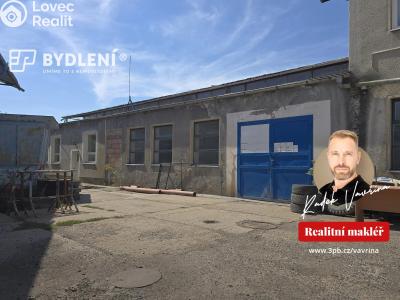 Rent production hall Bílina, Důlní 439 č. 15