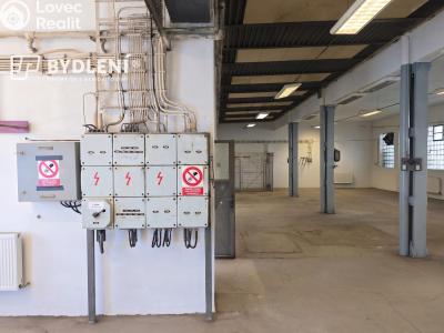 Rent production hall Bílina, Důlní 439 č. 4