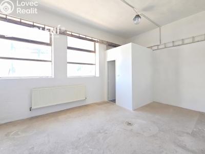Rent production hall Bílina, Důlní 439 č. 5