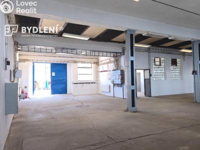 Rent production hall Bílina, Důlní 439 č. 7