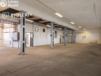 Rent production hall Bílina, Důlní 439 č. 8
