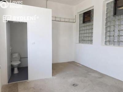 Rent production hall Bílina, Důlní 439 č. 9