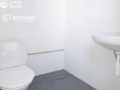 Rent production hall Bílina, Důlní 439 č. 11