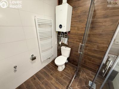 Rent apartment 3+KK Osek, Tovární 190 č. 9