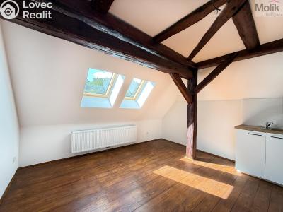 Rent apartment 2+KK Osek, Tovární 190 č. 11