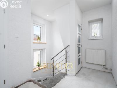 Продаж сімейного будинку Teplice, Mikoláše Alše č. 10