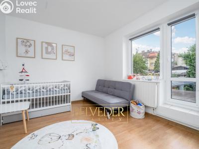 Продаж сімейного будинку Teplice, Mikoláše Alše č. 11