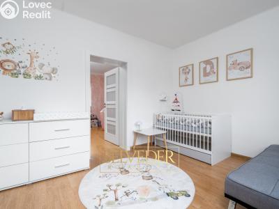 Продаж сімейного будинку Teplice, Mikoláše Alše č. 12
