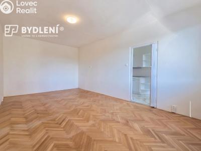 Pronájem bytu 2+1 Bílina, Sídliště Za Chlumem 789 č. 8