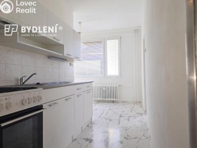 Pronájem bytu 2+1 Bílina, Sídliště Za Chlumem 789 č. 14
